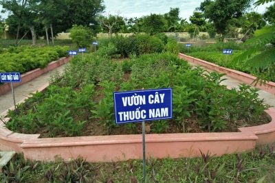 Xanh – sạch – đẹp